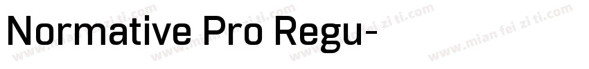 Normative Pro Regu字体转换